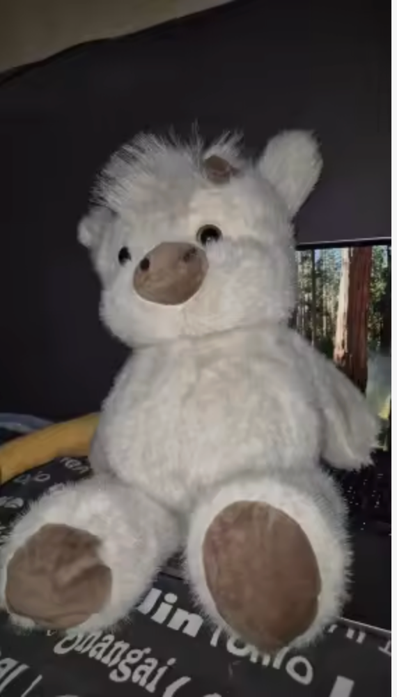 Mi hija no paró de pedirlo